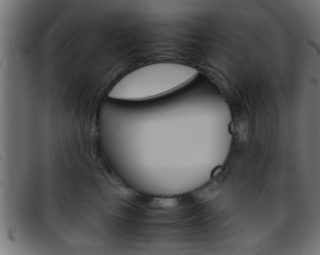 X0000097780665200803070914