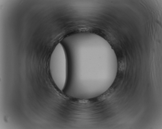 X0000097780666200803070914