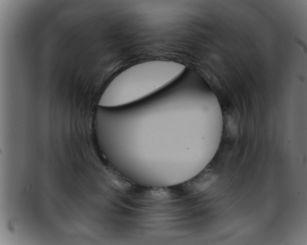 X0000097780668200803070914