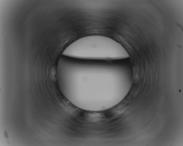 X0000097780669200803070914