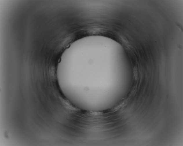 X0000097780670200803070914