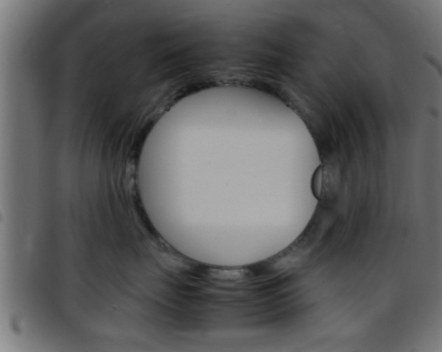X0000097780671200803070914