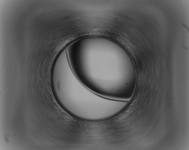 X0000097780673200803070914
