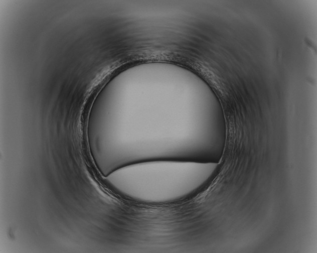 X0000097780674200803070914
