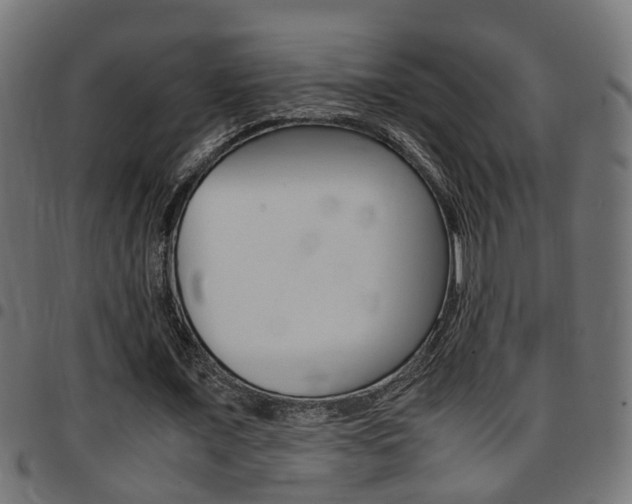 X0000097780675200803070914