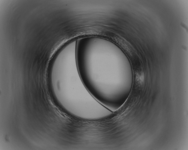 X0000097780676200803070914