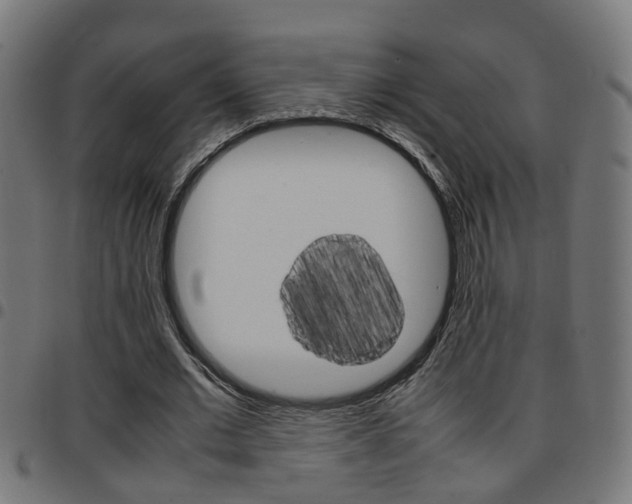 X0000097780677200803070914