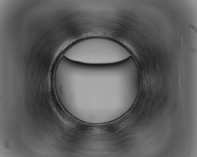 X0000097780678200803070914