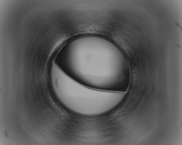 X0000097780680200803070914