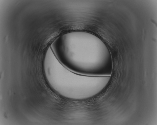 X0000097780681200803070914