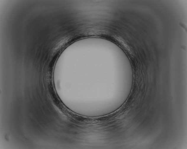 X0000097780683200803070914
