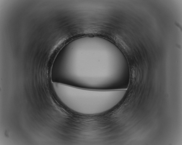 X0000097780684200803070914