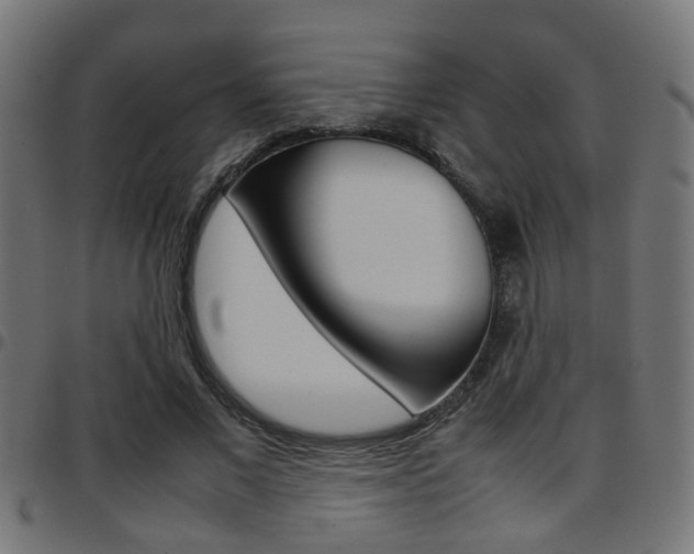 X0000097780685200803070914