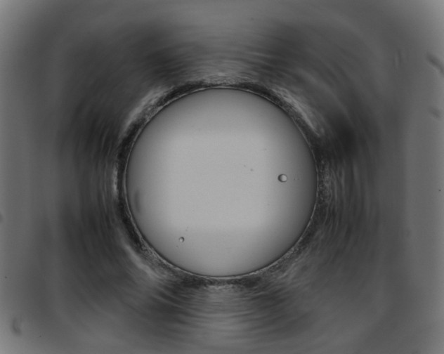 X0000097780686200803070914