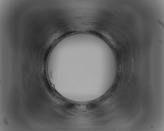 X0000097780687200803070913