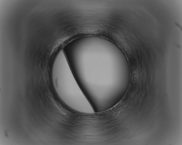 X0000097780688200803070913