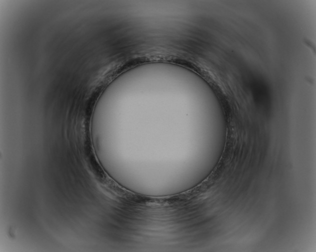 X0000097780690200803070913