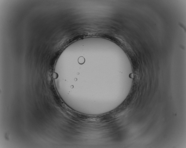 X0000097780691200803070913