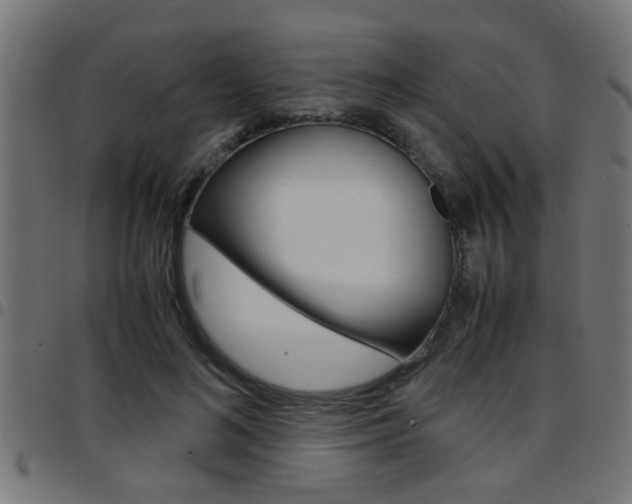 X0000097780692200803070913