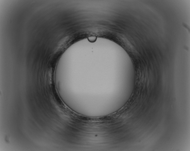 X0000097780694200803070913