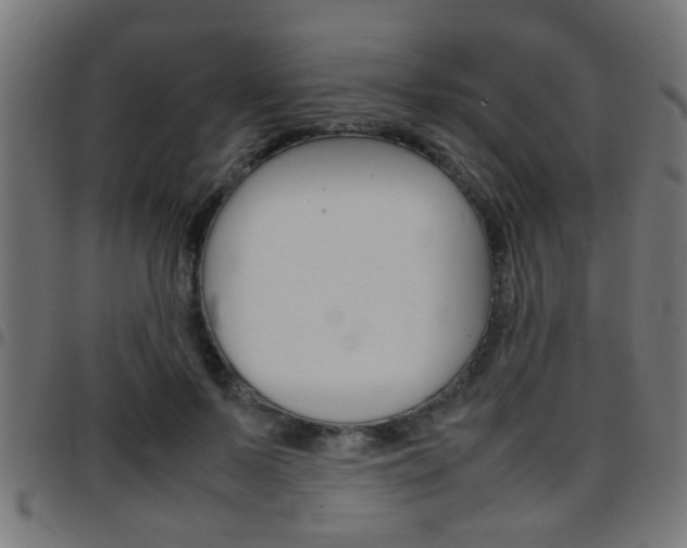 X0000097780695200803070913