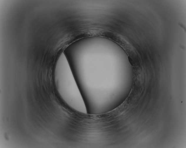 X0000097780696200803070913