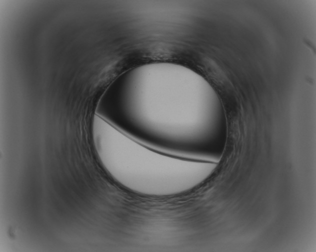 X0000097780697200803070913