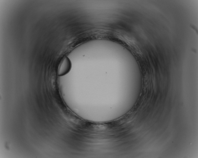 X0000097780698200803070913