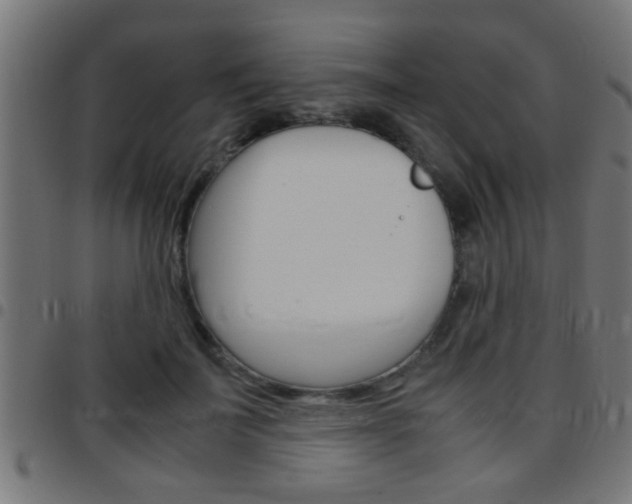 X0000097780699200803070913