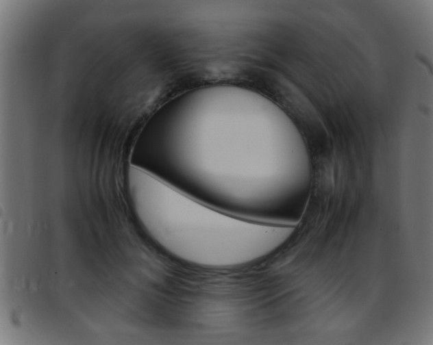 X0000097780700200803070913