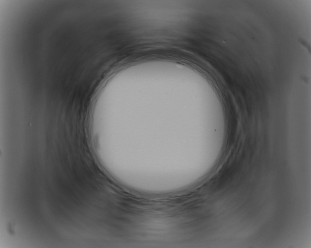 X0000097780701200803070913