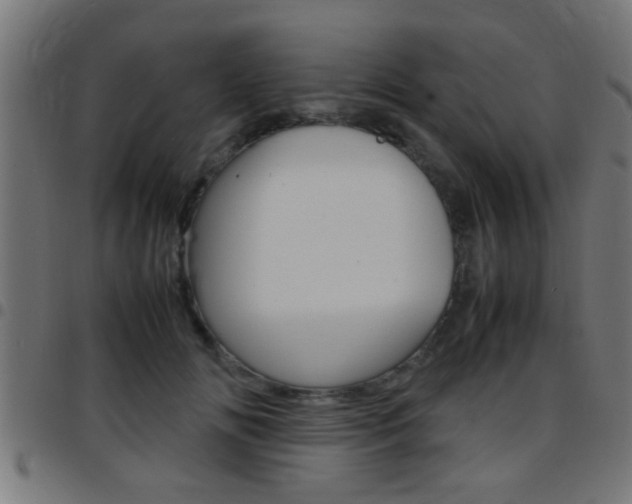 X0000097780702200803070913