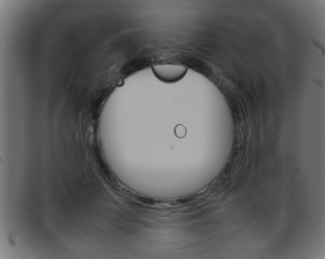 X0000097780703200803070913