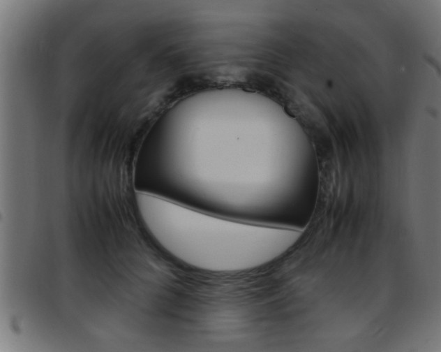 X0000097780704200803070913