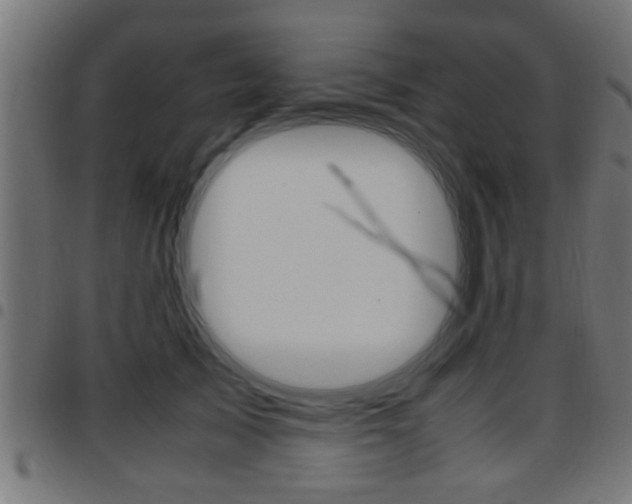 X0000097780705200803070913