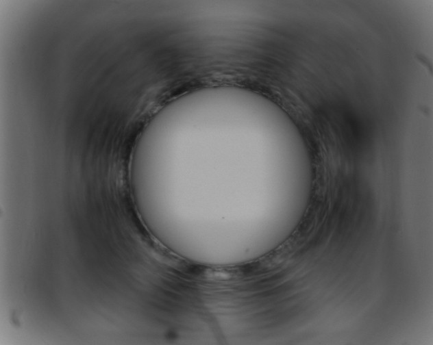 X0000097780706200803070913