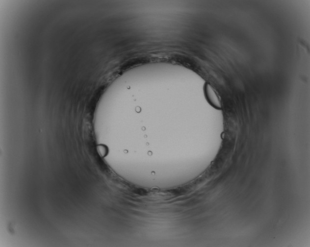 X0000097780707200803070913