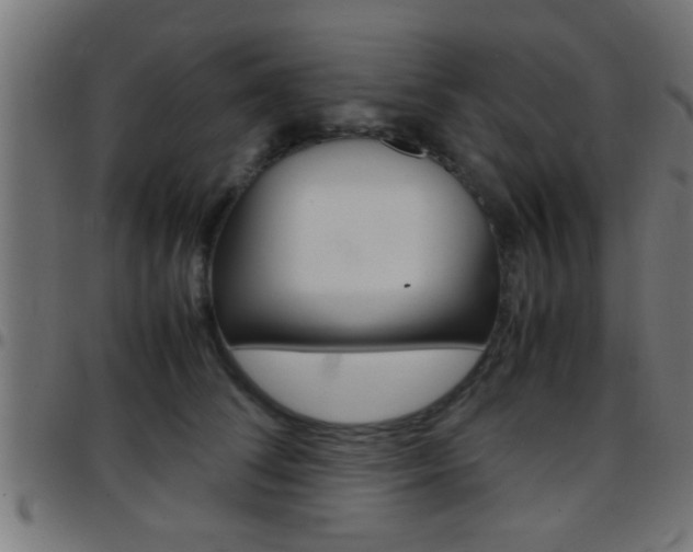 X0000097780708200803070913