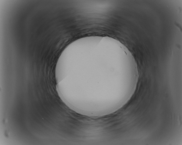 X0000097780709200803070913