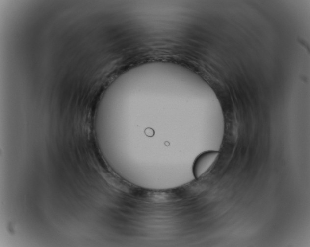 X0000097780710200803070913