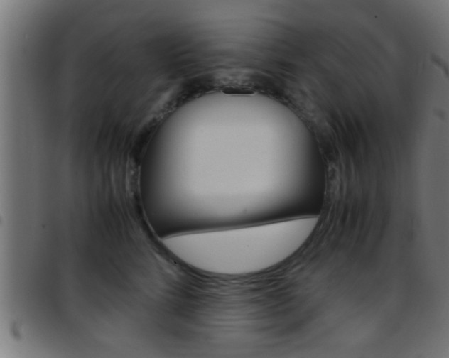 X0000097780712200803070913
