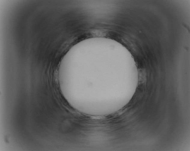 X0000097780713200803070913