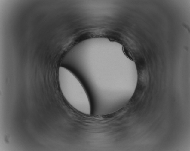 X0000097780715200803070913