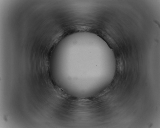 X0000097780716200803070913