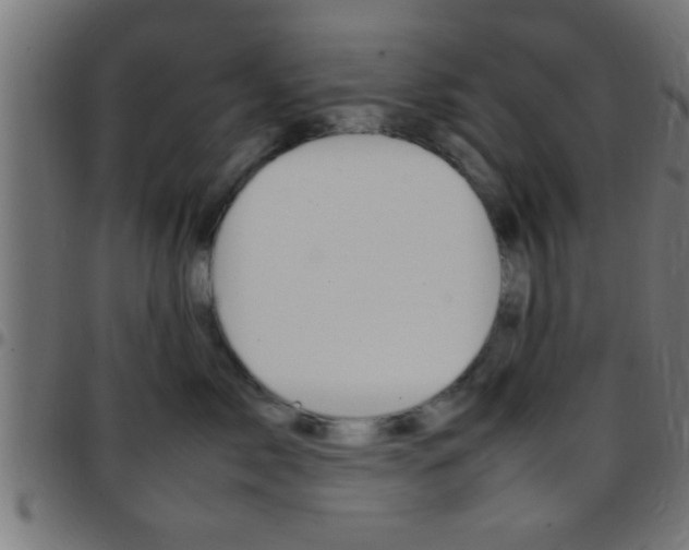 X0000097780717200803070913