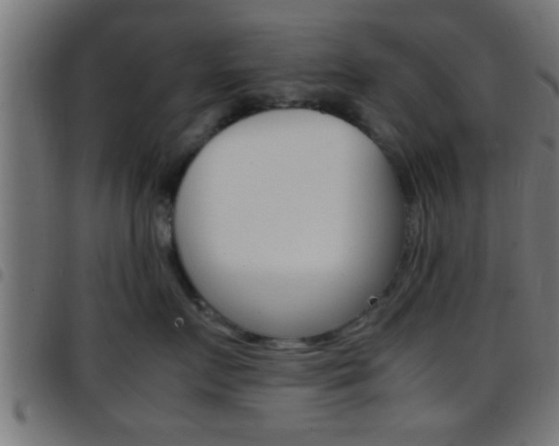 X0000097780719200803070913
