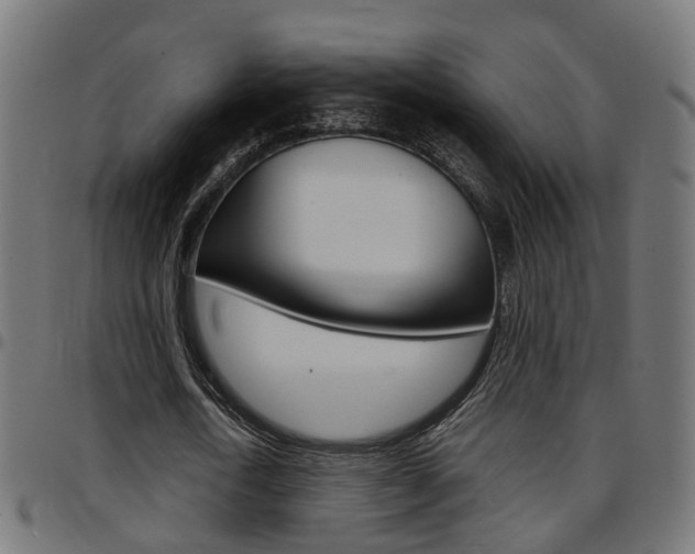 X0000097780722200803070912