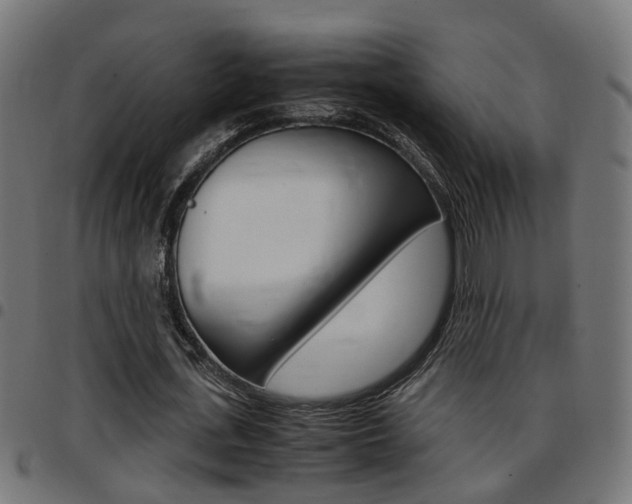 X0000097780723200803070912