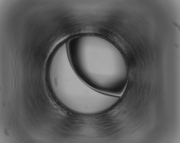 X0000097780724200803070912