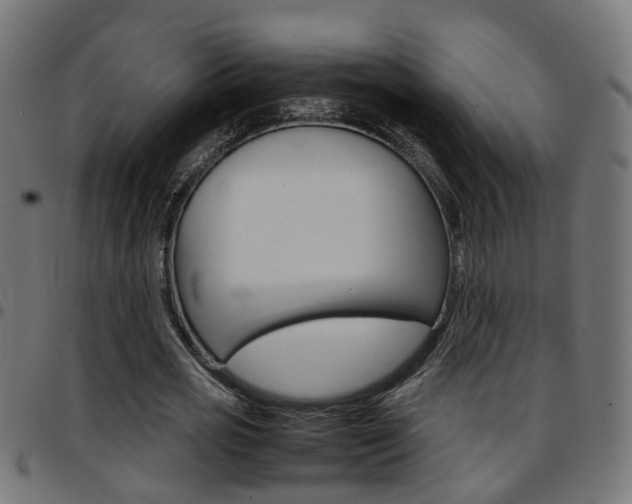 X0000097780725200803070912
